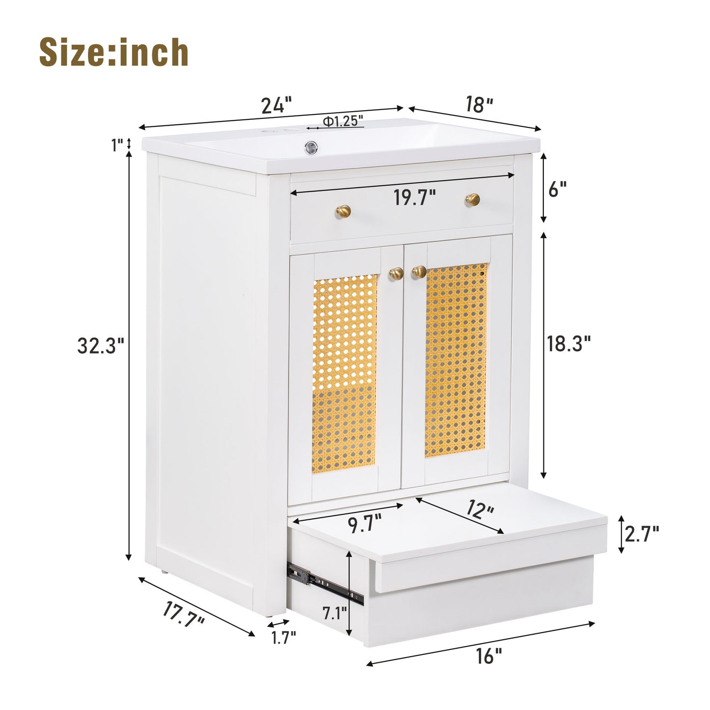 24" vanity with Single Sink; Pull-out footrest