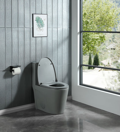 Dual-Flush One Piece Toilet