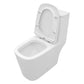 Dual Flush with Soft Close Seat Toilet