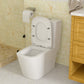 Dual Flush with Soft Close Seat Toilet