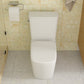 Dual Flush with Soft Close Seat Toilet