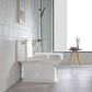 Ceramic white Toilet