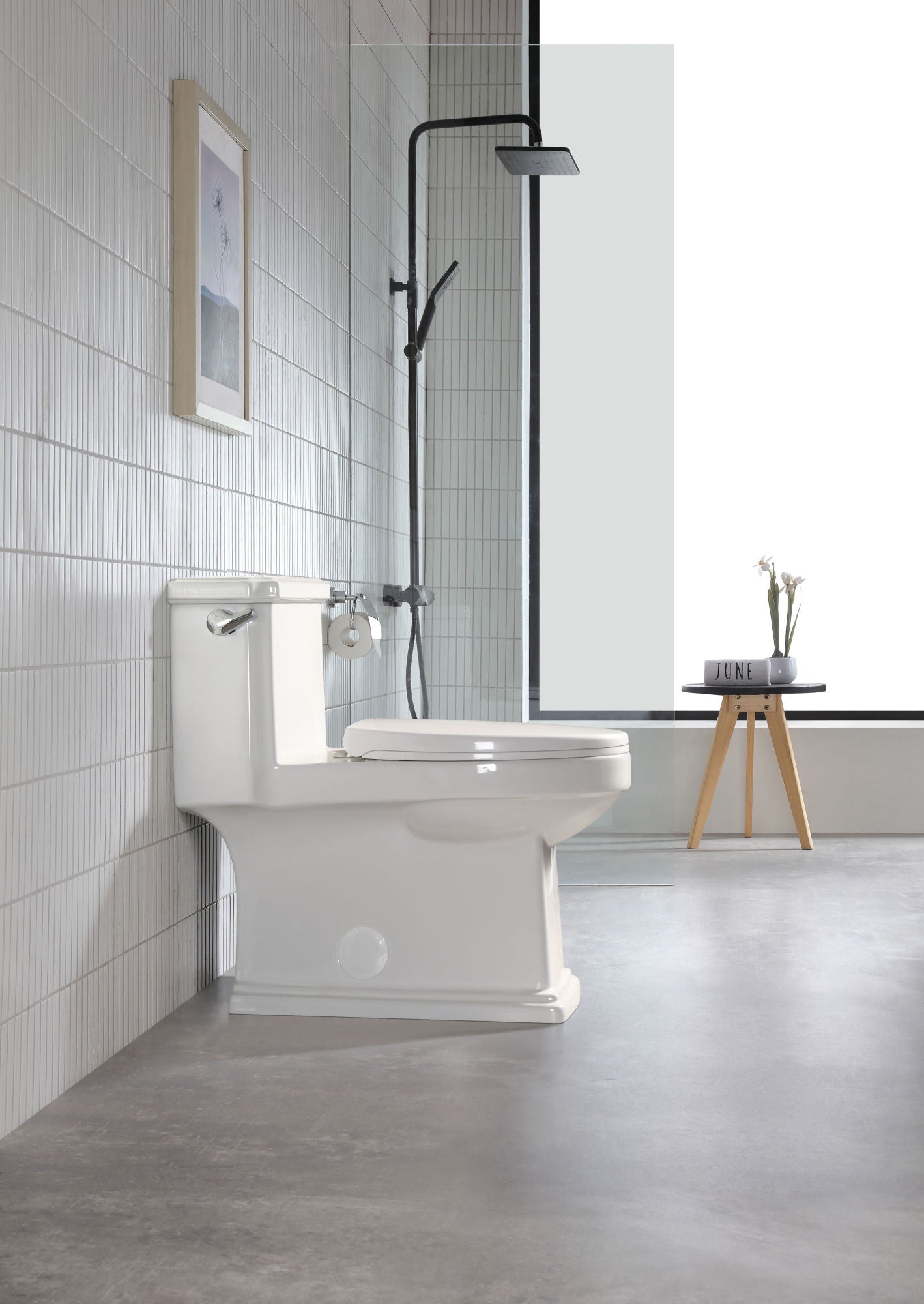 Ceramic white Toilet