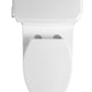 Ceramic white Toilet