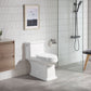 Ceramic white Toilet