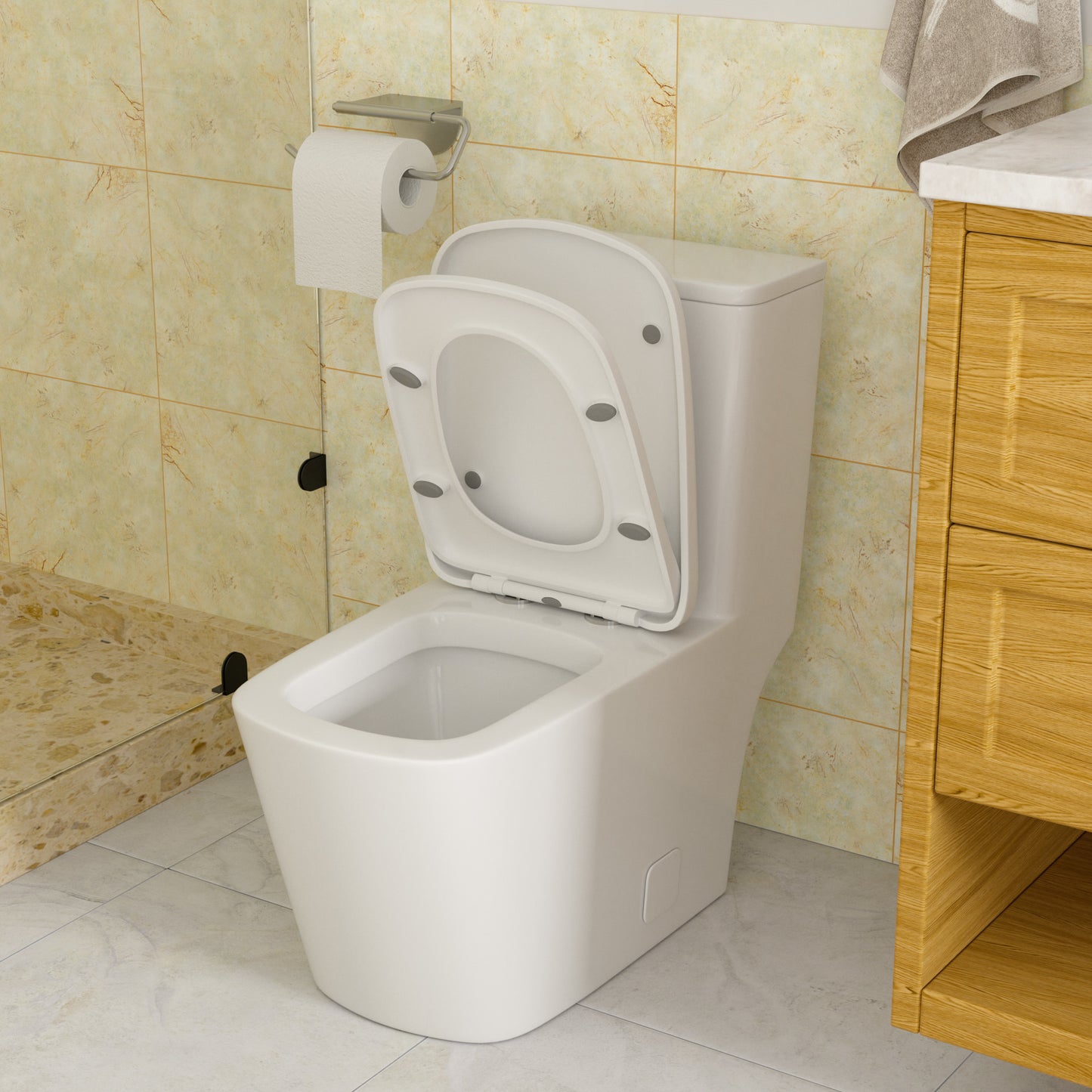 Dual Flush with Soft Close Seat Toilet