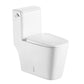 Dual Flush with Soft Close Seat Toilet