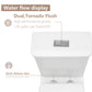 Dual Flush with Soft Close Seat Toilet