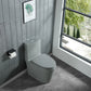 Dual-Flush One Piece Toilet