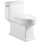 Ceramic white Toilet