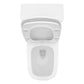 Dual Flush with Soft Close Seat Toilet