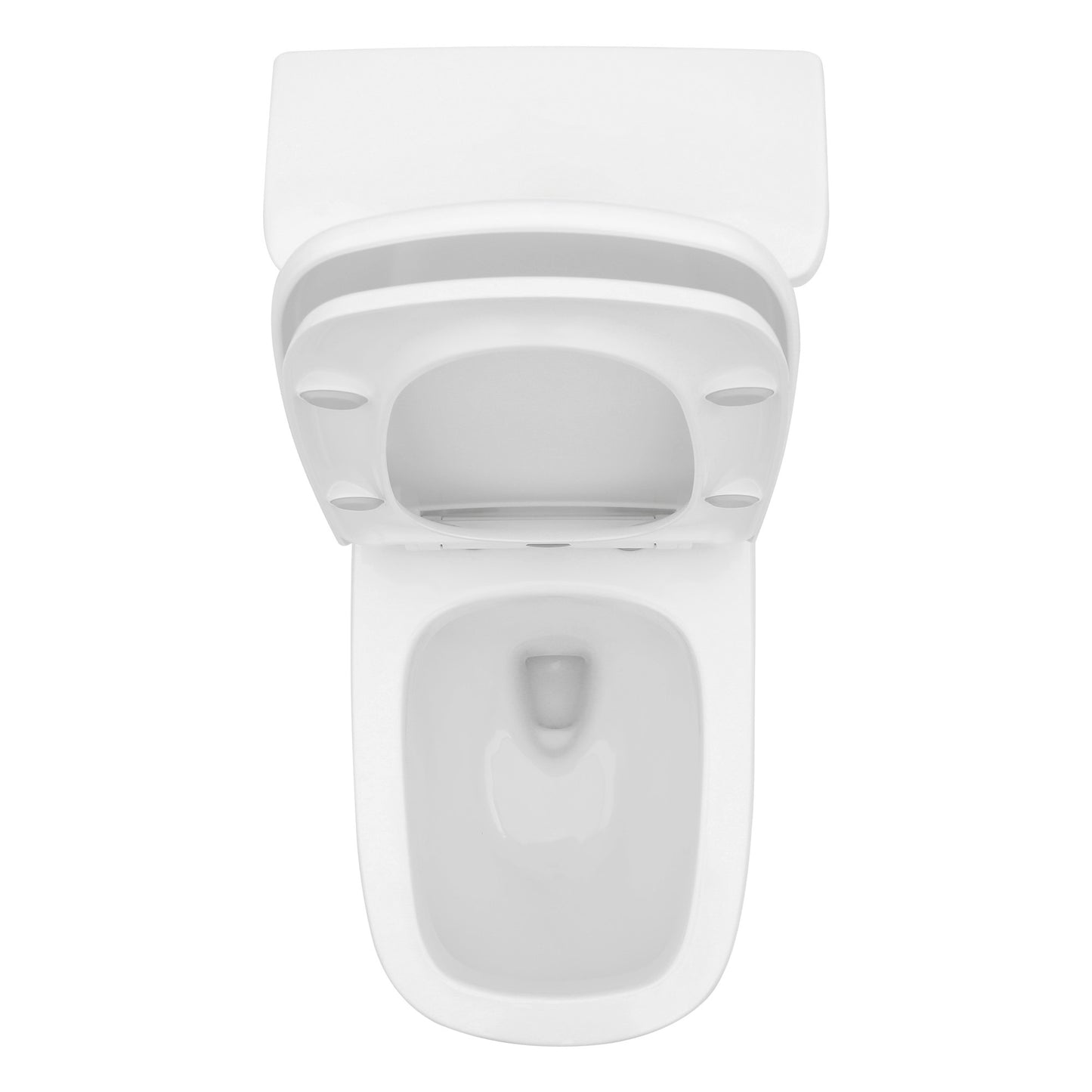 Dual Flush with Soft Close Seat Toilet