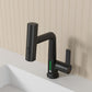 Pull-Out Lift LED Faucet