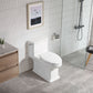 Ceramic white Toilet