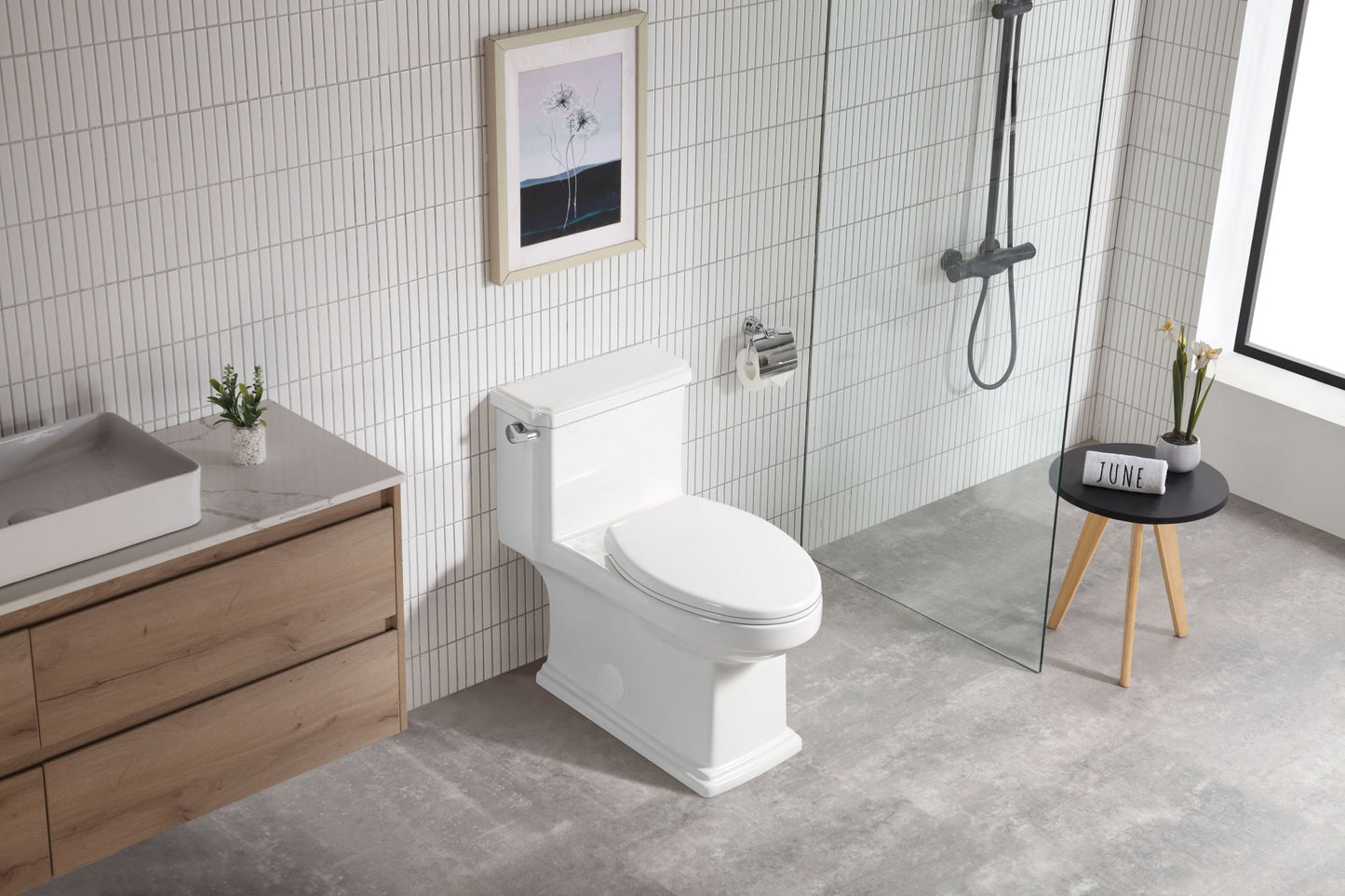 Ceramic white Toilet