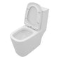 Dual Flush with Soft Close Seat Toilet