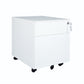 2 Drawer Mobile File Cabinet with Lock white