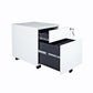 2 Drawer Mobile File Cabinet with Lock white