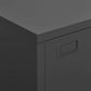 Industrial Filing Cabinet Anthracite