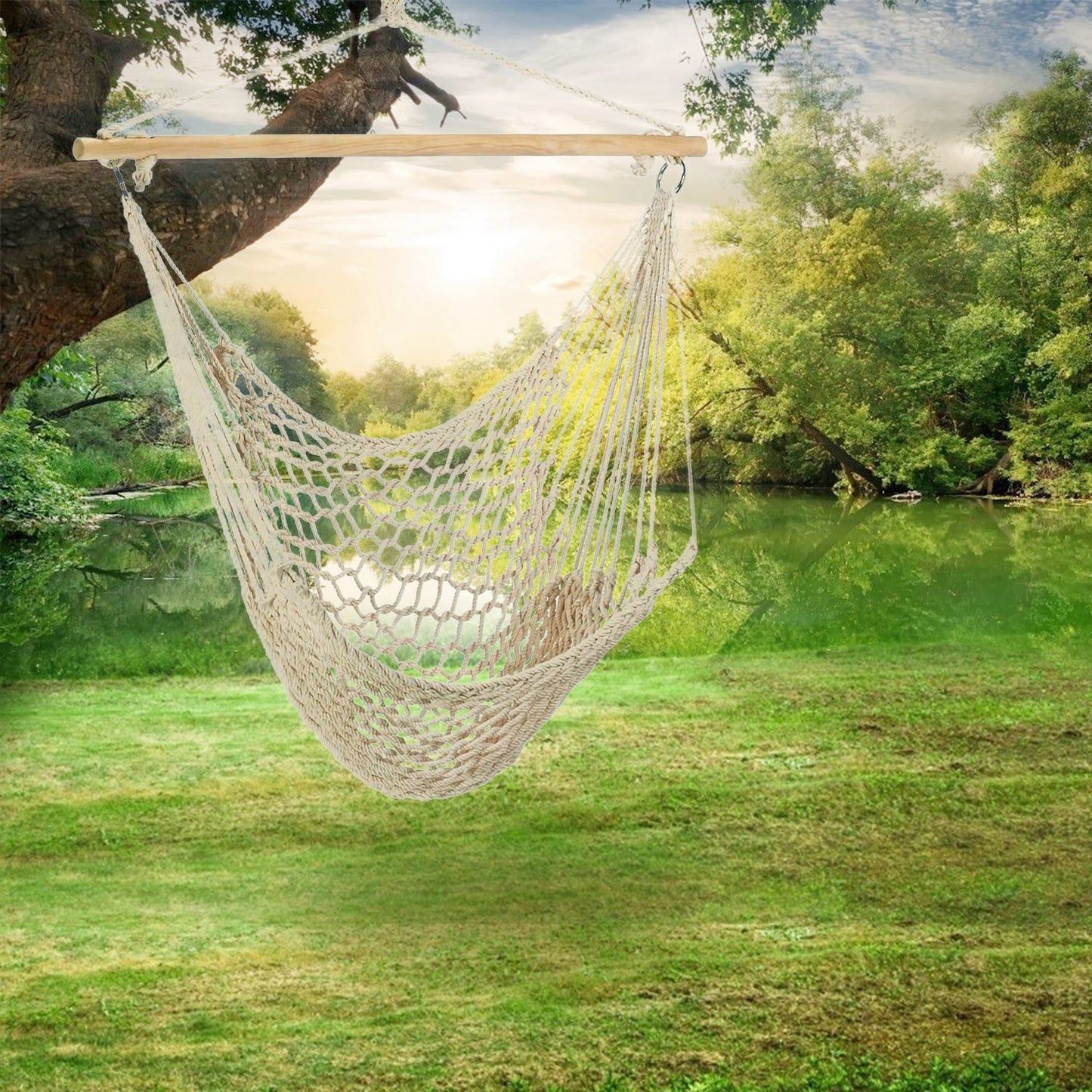 Hammock Chair